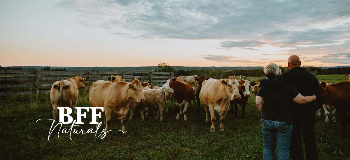 Two people standing in a field with cows at sunset, featuring the brand 'BFF Naturals'.
